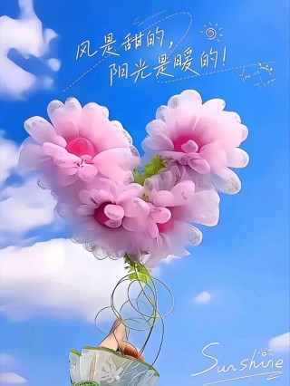 阳光洒在心间，温暖内心的每个角落