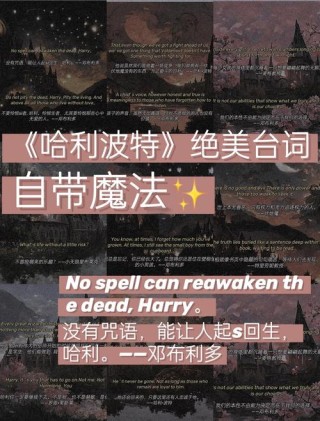 除了“眠龙勿扰”，《哈利·波特》中还有哪些寓意深刻的格言呢？