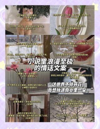 那些小说里的惊艳文案