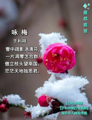 雪花为我带来了牵挂