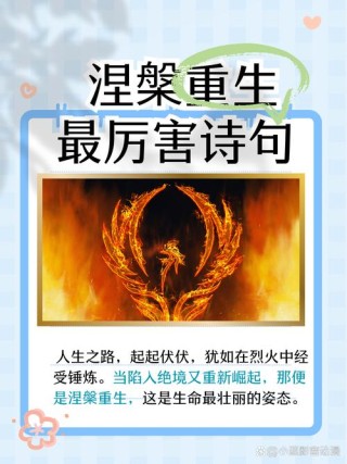 涅槃重生，做真实的自我