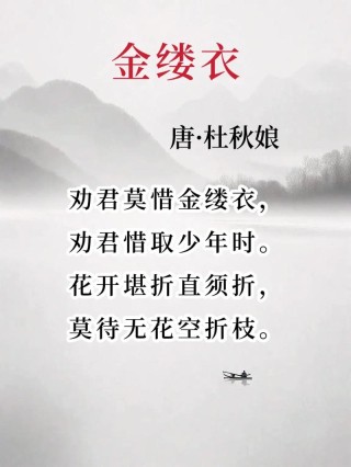 金缕衣诗歌赏析