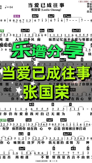 当中年人的爱成往事