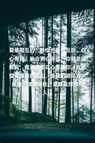 【因为爱，所以无悔】