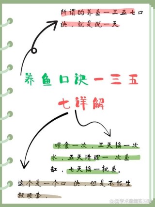 养鱼悟出的道理，每条都很经典