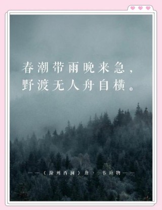 人生风雨路，江天心海潮