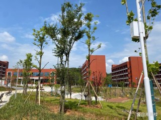 2026邵阳工业职业技术学院招生网首页（附：招生办电话）