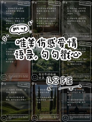 伤心爱情语句汇编 80 条深情总被辜负薄情才被思念入骨