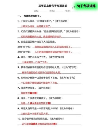 新题型解题指导——句子的表达效果