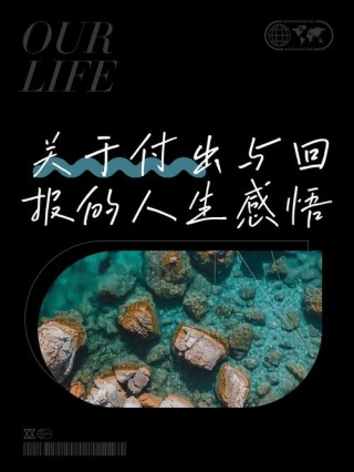 收获前，先学会付出?励志文章