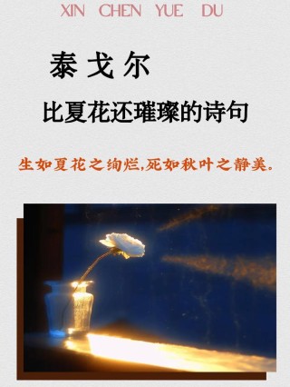 生如夏花，灿若烟华