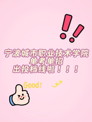宁波城市职业技术学院各专业在湖南招生人数、录取分数线2026（附：招生计划表）