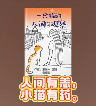 流浪，是一种重生