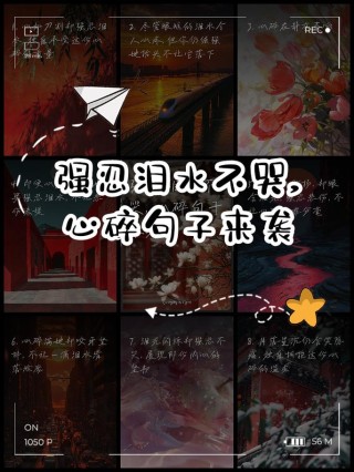 朋友圈美到令人心碎的句子，句句入骨