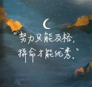 努力学习才有收获，所有人都一样！