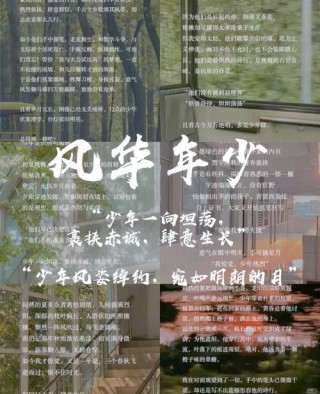 清风徐来，少年感文案