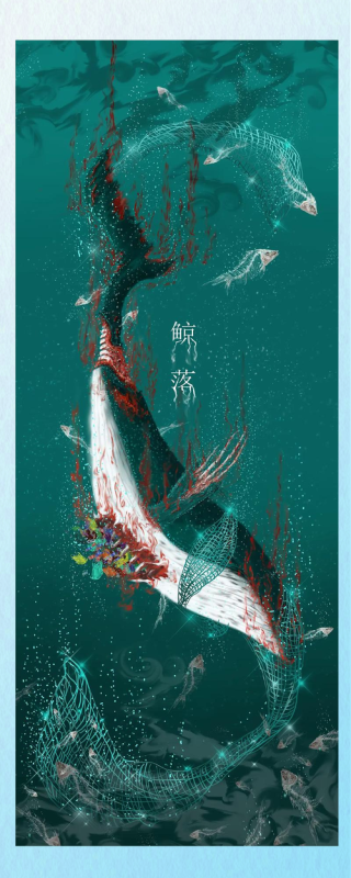 世间最美，不过鲸落
