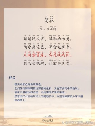 深秋风凉，落叶飘零，愿你心中有温暖，且待篱前菊花香