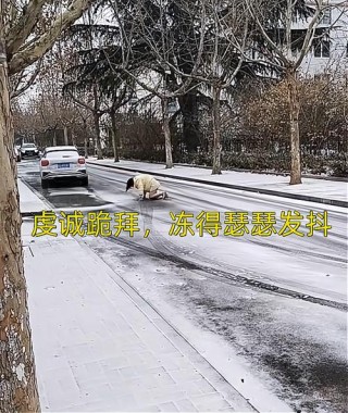 女子光着腿跪马路上，在风中冻得发抖，“丈夫不让她回娘家探亲”