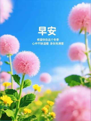 2023.1.11正能量早安问候语，早晨问好的励志优美句子，