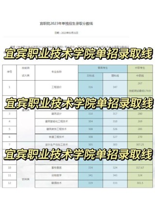 宜宾职业技术学院在湖北各专业招生人数、录取分数线2026（附：招生计划表）