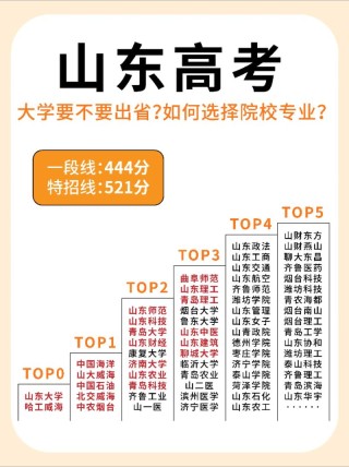 山东高考排名253000-254000位次能上什么大学（2026）