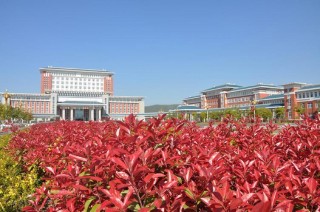 滁州有哪些职业技术学院
