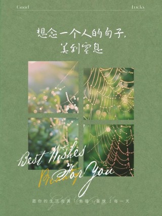 很想念一个人的朋友圈文案 表示思念一个人的心情短句