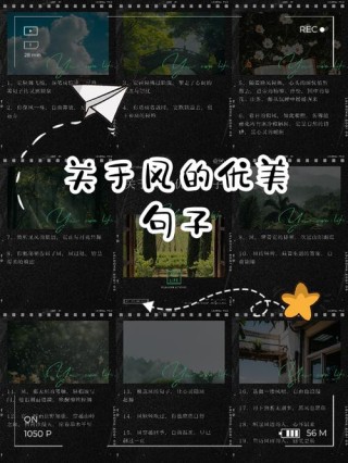 不同季节的风有各自的特点，你会描写风吗？收藏关于风的好句好段