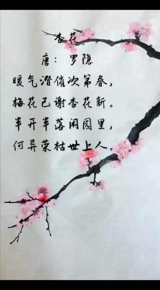 春暖人间，杏花香袭，胭脂万点美人腮，花开千朵似云霞