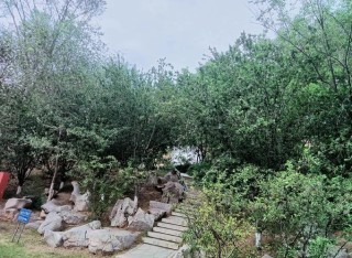 熟悉的地方有风景