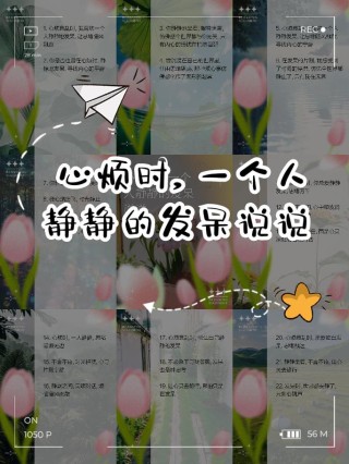 适合一个人静静品味的15句话，看完后心情超好