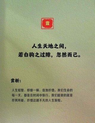 2018年度庄家感人套人经典语录最新版