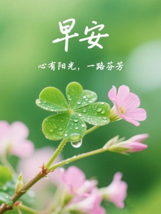 充满机遇与希望的早安唯美句子，清新洒脱，生机盎然