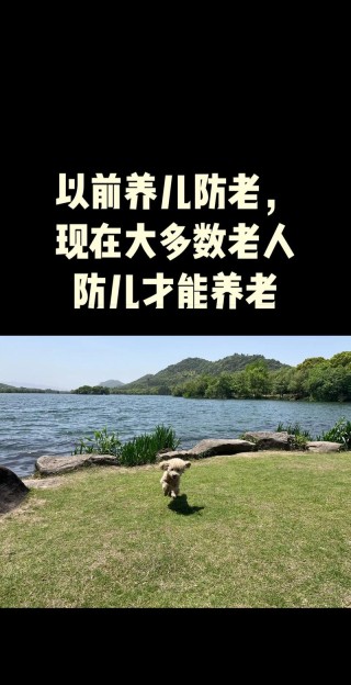 养儿防老，积谷防饥，养不教，父之过。