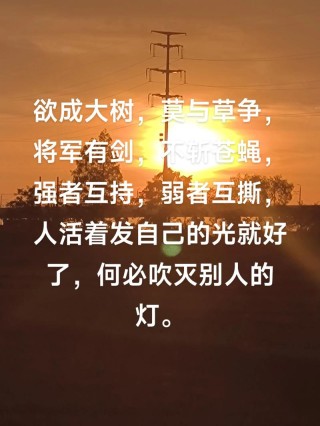 学会释怀,就是放过自己;人活着,发自己的光就好,不要吹灭别人的灯