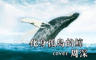 化身孤岛的鲸，只为更好的遇见