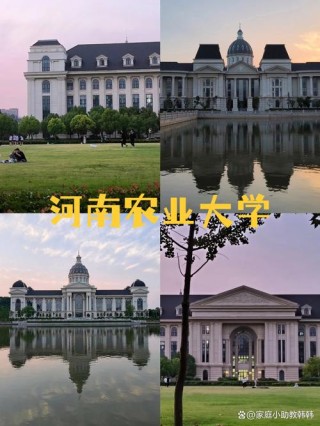 河南农业大学在山东录取分数线、位次、招生人数（2023-2025招生计划）