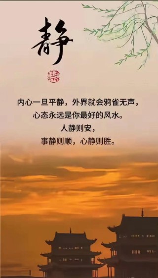 内心平静且强大的文案：对生命而言，接纳才是最好的温柔