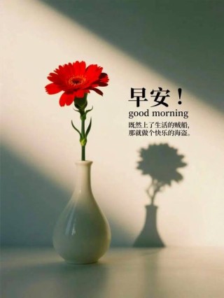 适合早安发朋友圈的心情说说