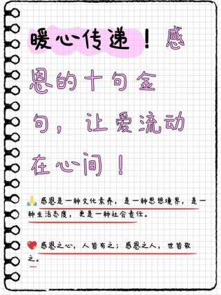 感恩的话语简短精辟，感恩简语，真挚而深刻