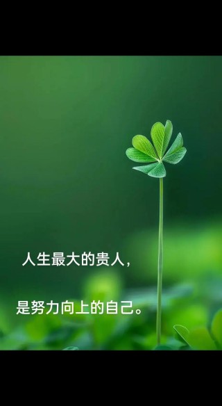 励志语录 最好的贵人，就是努力的自己