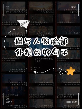 人物外貌描写的100个佳句，写作文中头发、胡须、眉毛、眼睛、脸