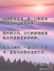 收藏快乐的日常文案短句｜感受生活的慢节奏。