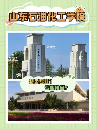 山东石油化工学院是985,211高校吗