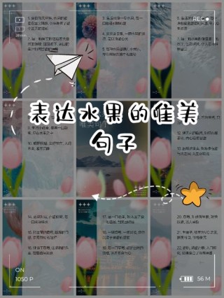 果子语录：一百一十六