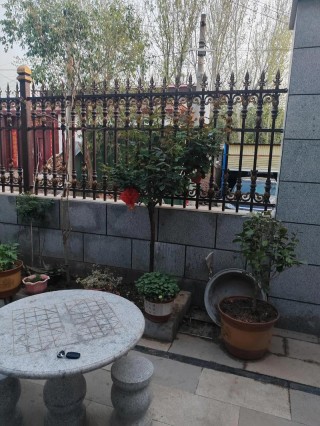 远嫁山东，晒晒我的农村小院！院子超级赞，厕所你都没见过