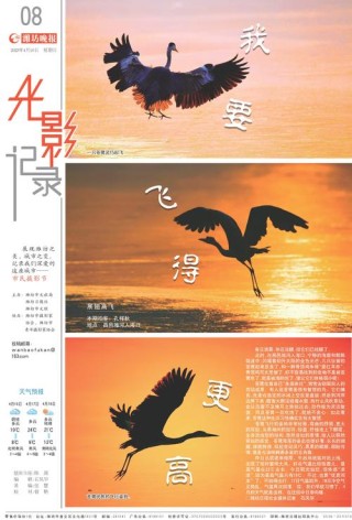 我要飞得更高