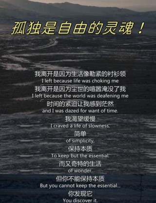 谁不是孤独的生,孤独的死?