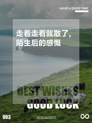 走着走着，已然找不到回去的路了（经典美文）